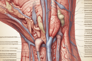 Integumentary System Module 7.1