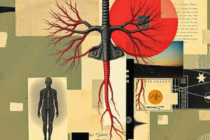 Endocrine System Overview