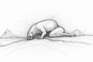 Sueño: Ciclos, Cerebro y Tipos (NREM y REM)