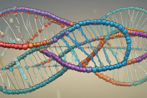 DNA Replication Process