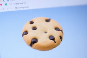 Cookies and Data on Google