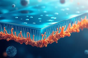 Biology Quiz 2: Plasma Membrane