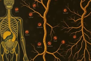 4: endocrine system