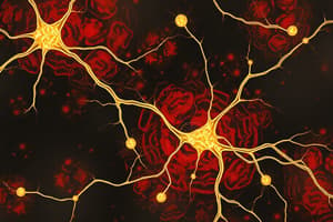 PSYU2236 W3 | The Synapse and Action Potentials