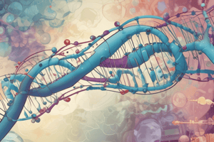 Protein Synthesis Process