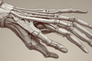 Anatomy of the Hand