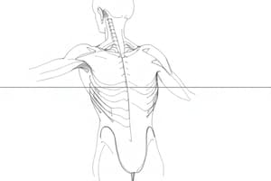 Relazione Forza-Frequenza e Forza-Lunghezza Muscolare (Fisio 17)