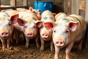 Basic Agricultural Knowledge: Swine Industry