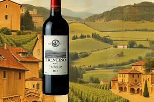 Trentino Wine Region Overview