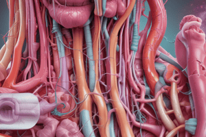 Chapter 29: Disorders of Esophagus, Stomach, and Small Intestine