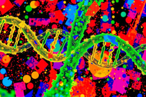 DNA Replication in Prokaryotes