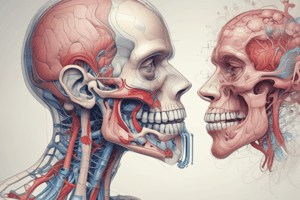 Respiratory System