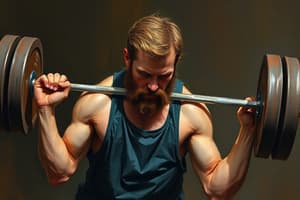 Weightlifting: The Snatch Technique