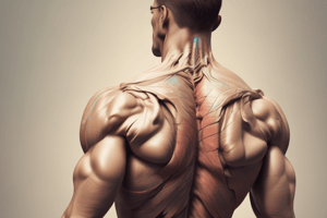 Anatomy of Back, Shoulder and Neck Muscles Quiz