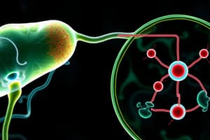 Cellular Respiration Overview Quiz