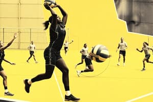 Sports Categories and Volleyball Basics