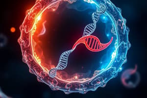 Cell Division and Chromosomes