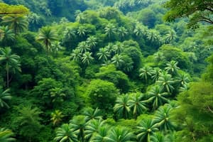 Economic, Social, and Environmental Uses of Rainforests