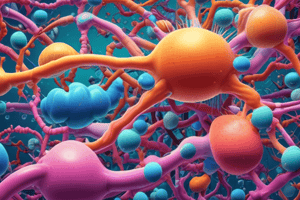 Protein Synthesis and Secretion Process in Cells