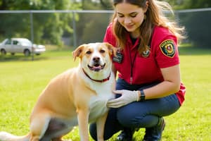 Animal Control and Shelters Overview