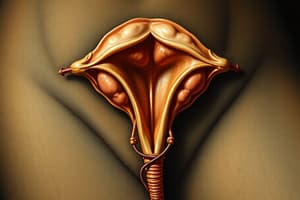 Reproductive System Standard