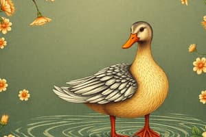 The Ugly Duckling story