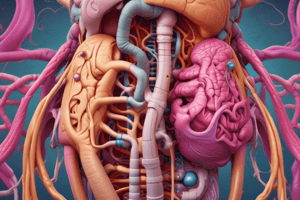 Digestive System Structures and Functions Quiz