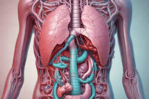 Digestive System: Esophagus and Stomach (2nd Class, Dentistry)