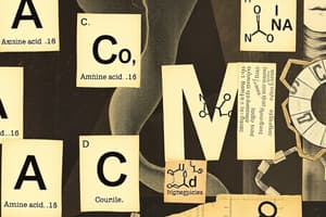 Amino Acid Classification and Functions