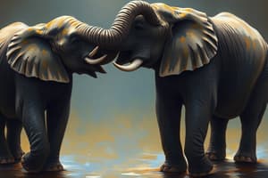 Elephant Communication Study Insights