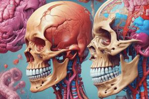 Easy50_Introduction to Anatomy & Physiology Quiz