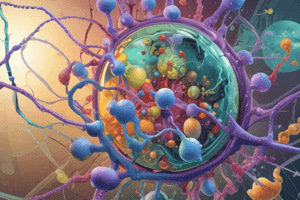 Cell Biology: Chromatin Types