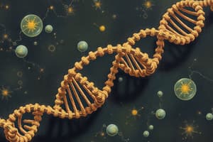 Nucleic Acid Biosynthesis