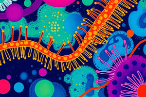 Cell Biology Chapter Quiz