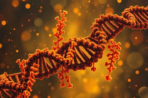 Nucleic Acids, DNA, and RNA