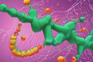 Biology Chapter 6: Lipids