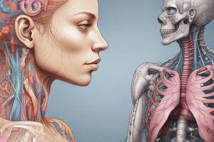 Biology Chapter 22: Respiratory System