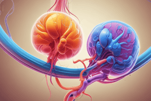 Anatomy of the Nephron and Urinalysis Quiz