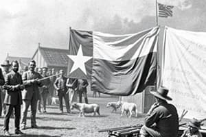 Mid-Century Texas Politics Quiz