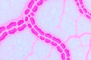 Epithelial Tissue Characteristics and Functions