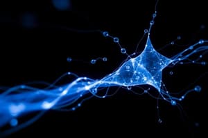 Electric Fields and Protein Electrophoresis