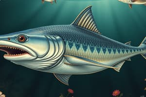 Biology 19.3: Cartilaginous Fish Quiz