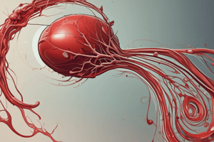 Thalassemia: Types and Characteristics