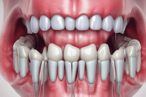 Mandibular Molars Anatomy