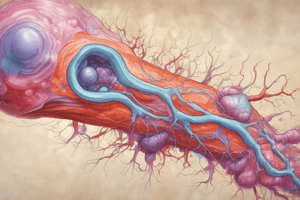 Adrenal Medulla Pathology: Pheochromocytoma