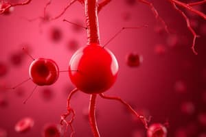 Hematopoietic System and Blood Functions