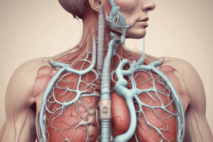 M1_Respiratory System Anatomy and Physiology