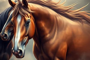 EQ104 Classification & Types of Horses