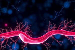 Biology Chapter Homeostasis and Feedback Mechanisms