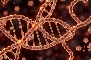 DNA Structure and Key Contributors